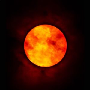 Meet your Posher, Connor